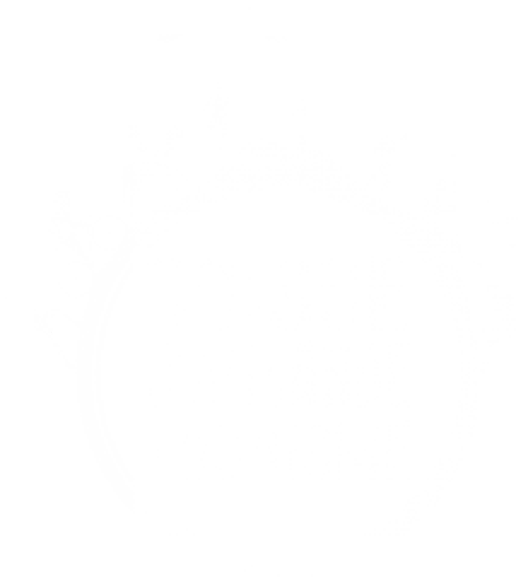 Logo snt blanc